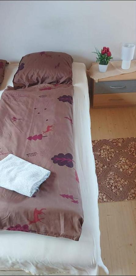 Visszavar-Lak Privat Berlemeny Badacsonytomaj Exteriér fotografie